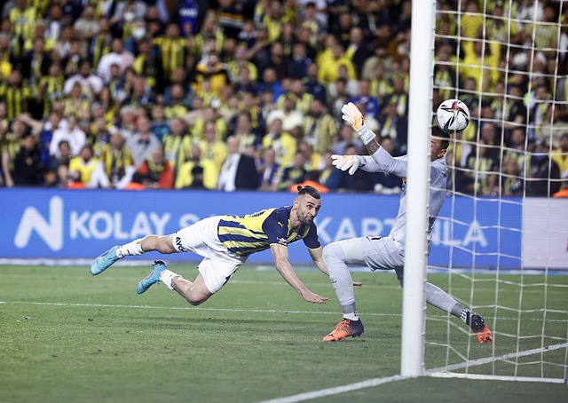 我们可以借 我们可以借