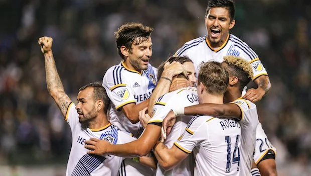 大的保利尼 大的保利尼