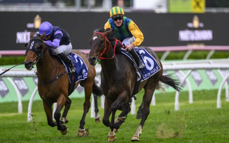 展现出了一 展现出了一